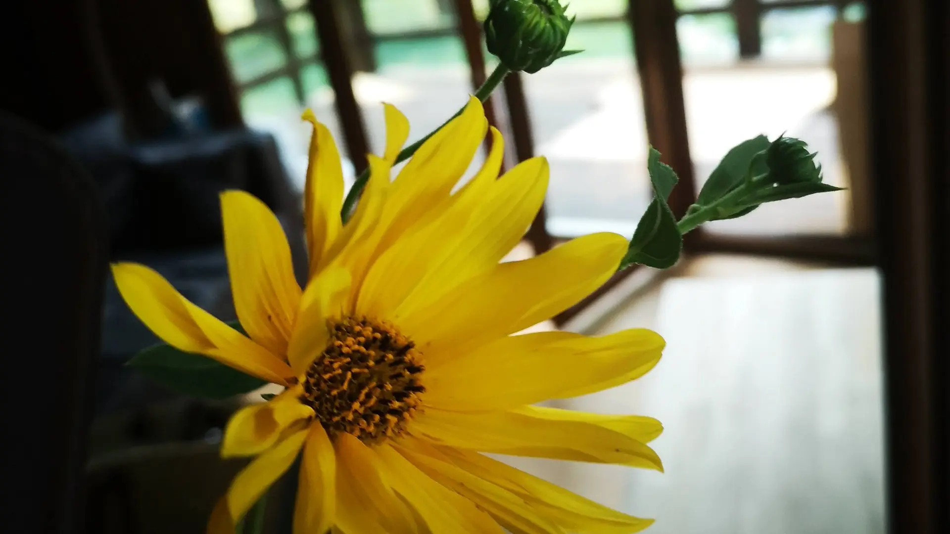 Salon fleuri