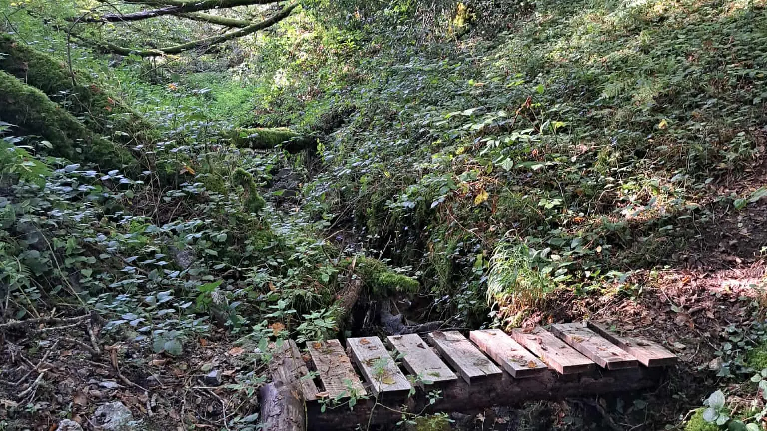 st Cirgues en chemin (1)