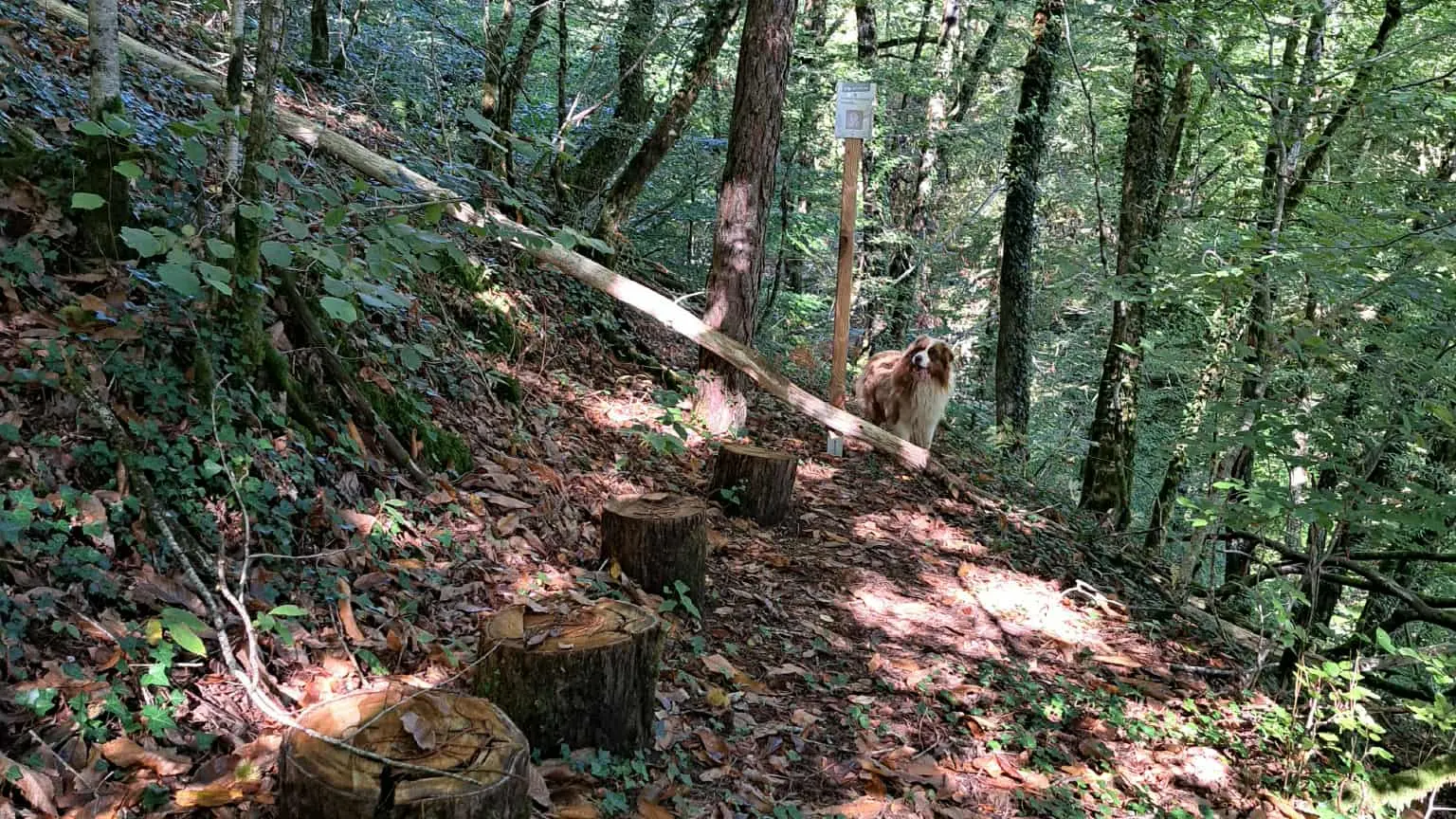 st Cirgues en chemin (11)