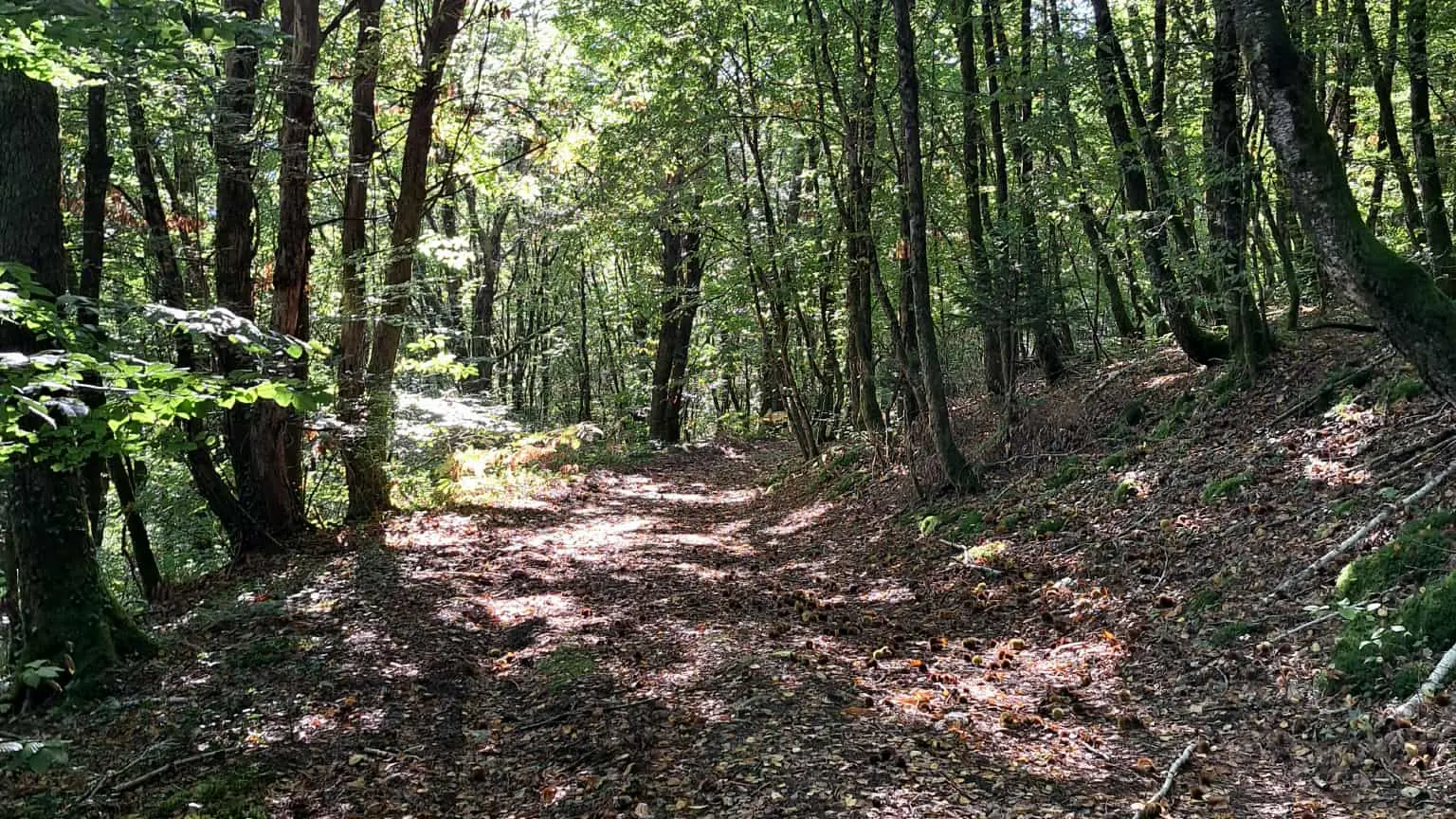 st Cirgues en chemin (5)