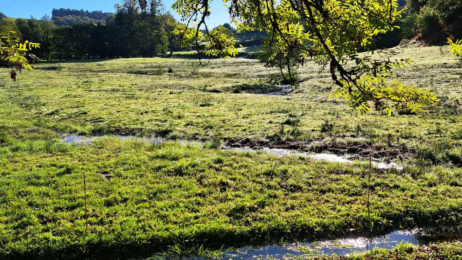 st Cirgues en chemin (6)