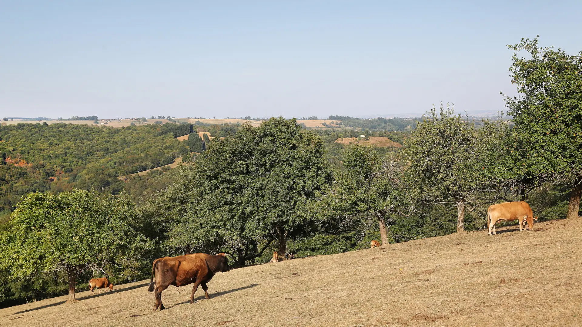 Saint-Perdoux, paysages
