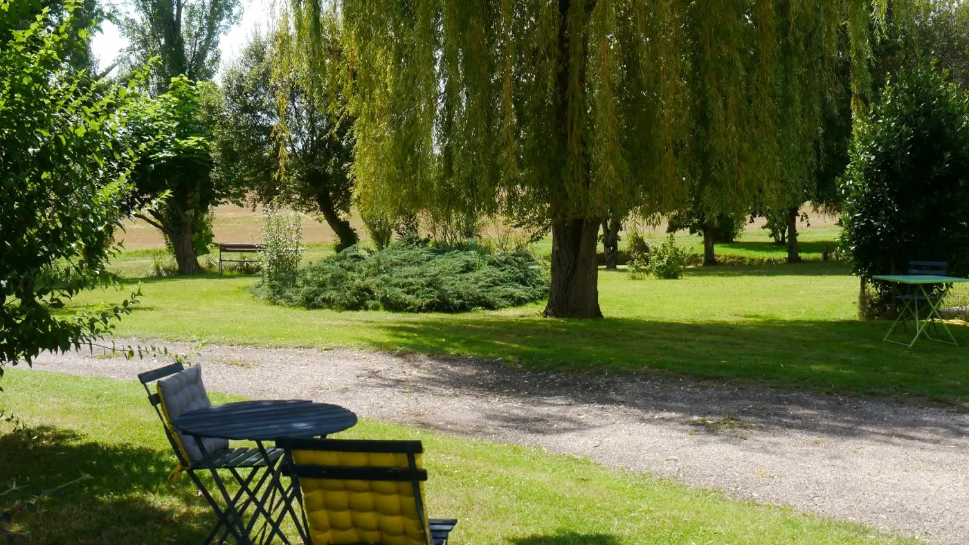 82596457_641687506641187_3104480383924699136_n