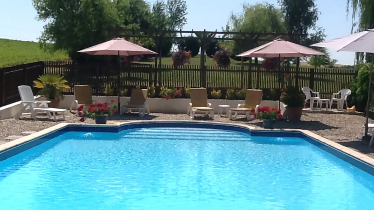 82788181_641685209974750_6119471658198630400_n