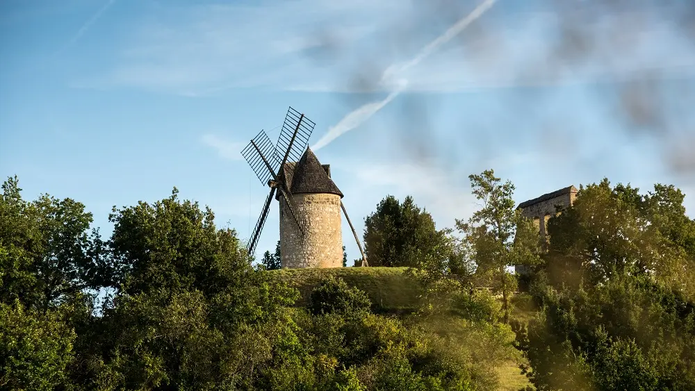 © Alain Auzanneau IMG_8676 Redimension