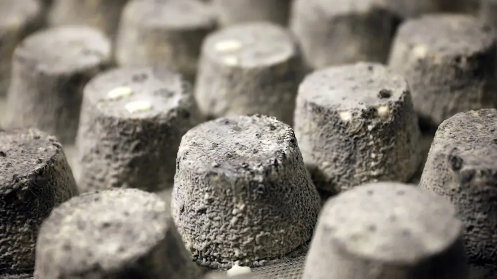 ©_Jerome_Morel_IMG_1552 Redimension