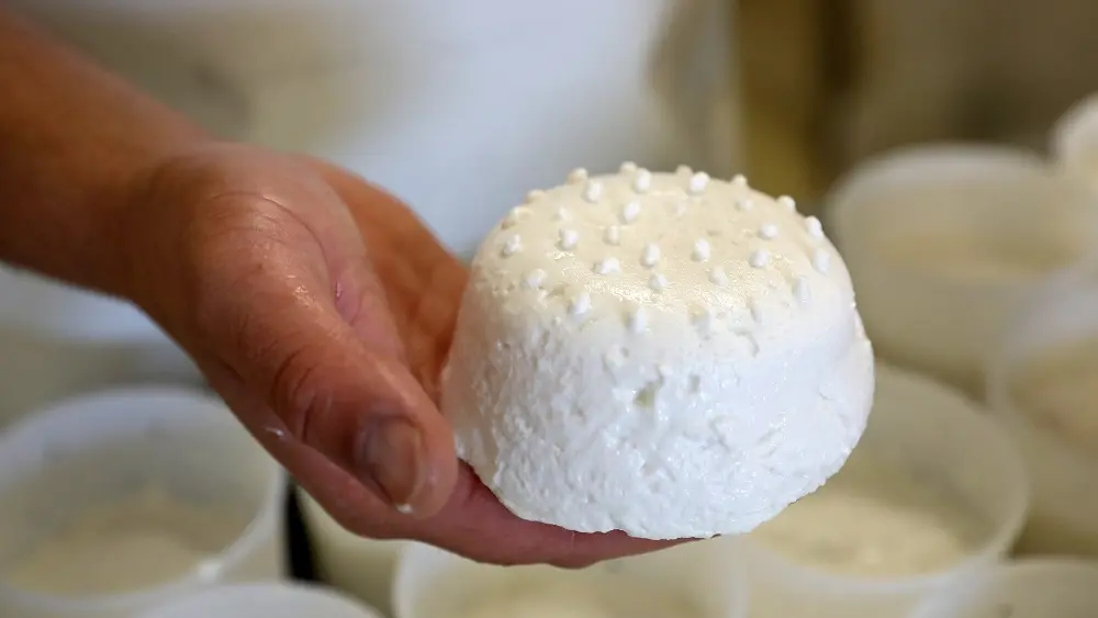 ©_Jerome_Morel_IMG_1585 Redimension