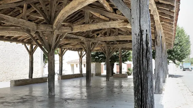 ©_Jerome_Morel_IMG_5275 Redimension