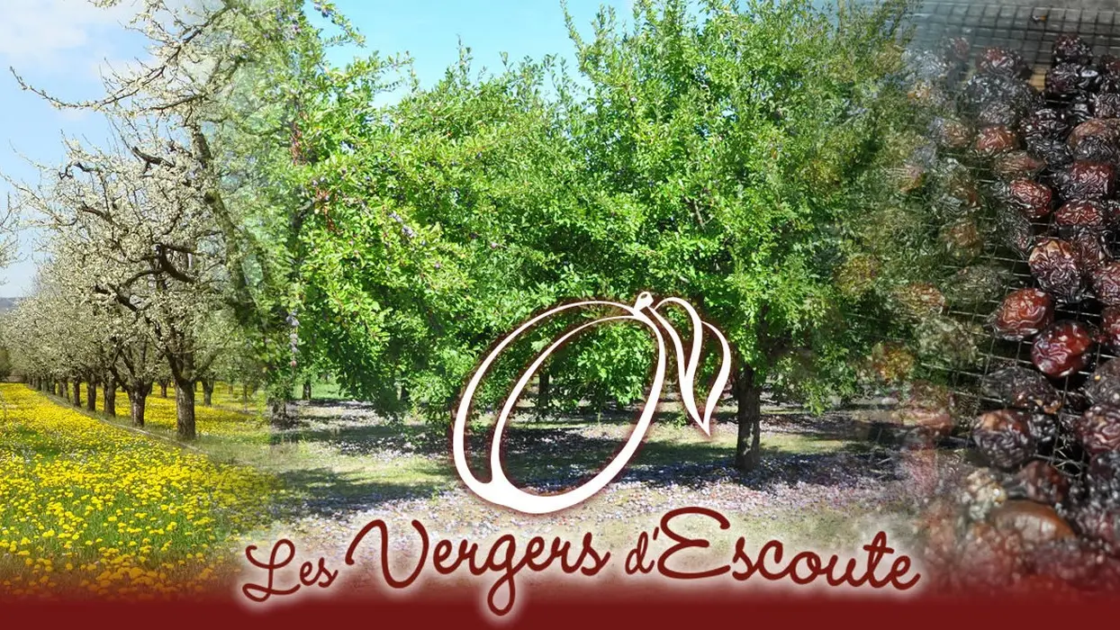 Les vergers d'escoute