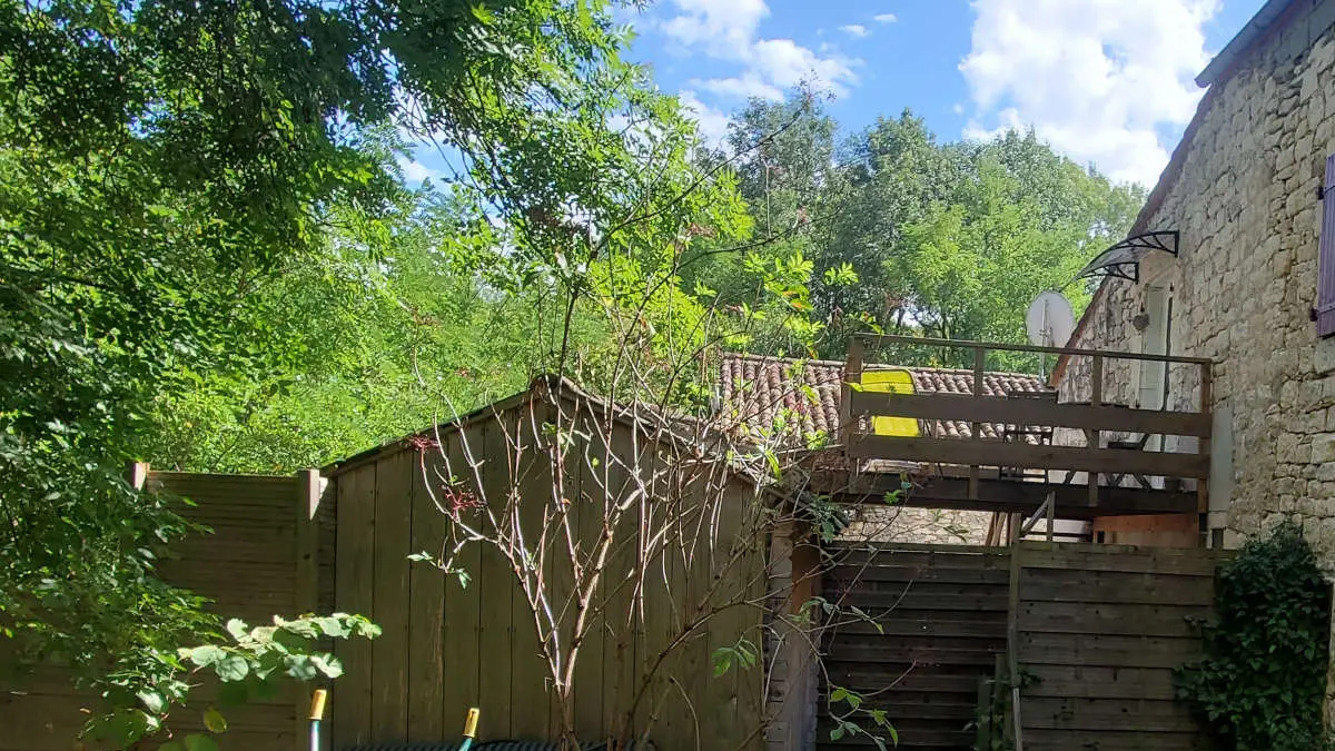 tournonzen_ecureuil_exterieur2