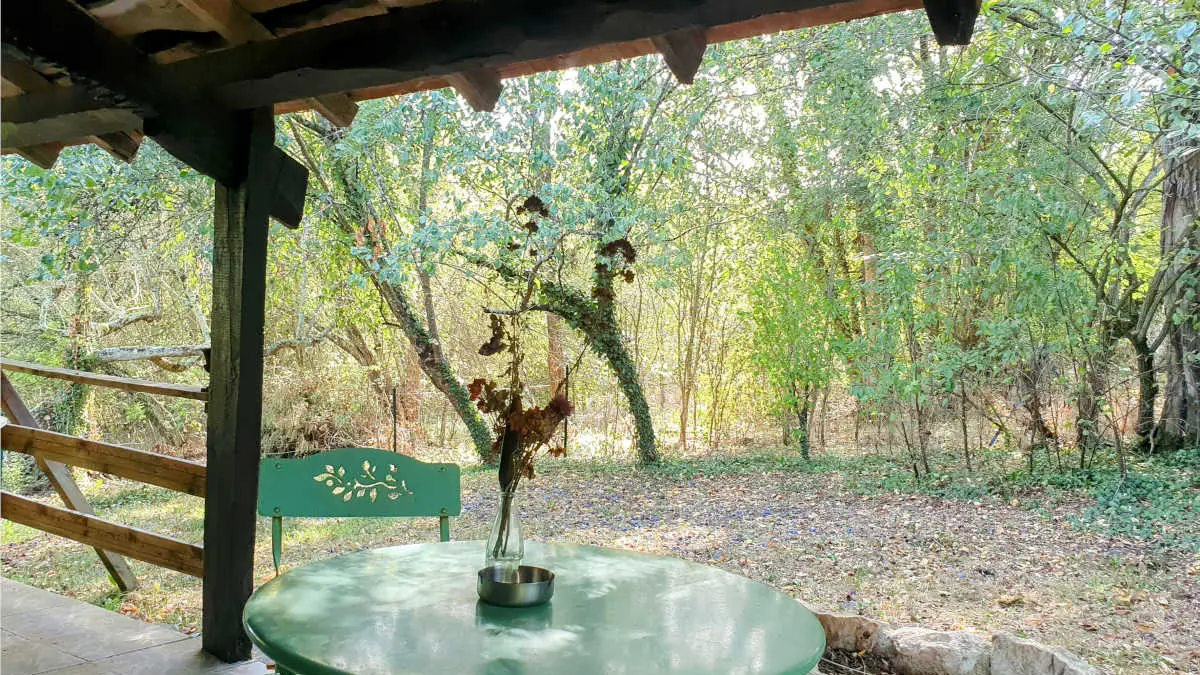 tournonzen_prunier (1)