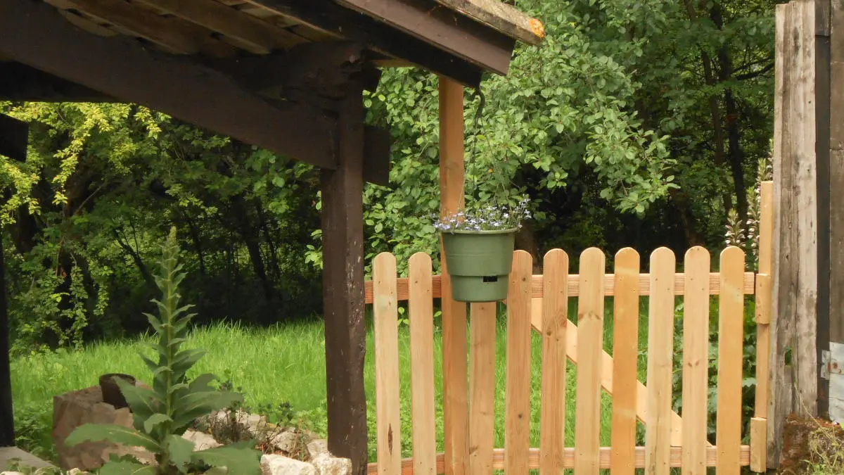 tournonzen_prunier (3)