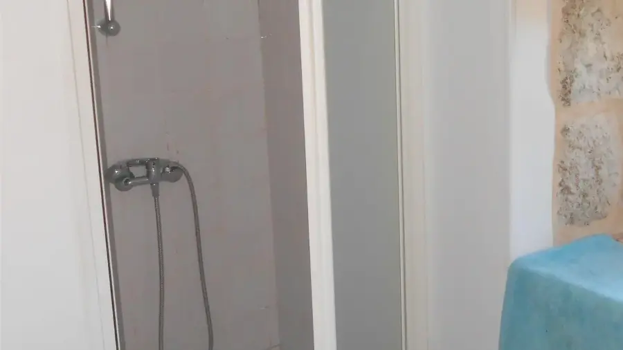 tournonzen_prunier (7)