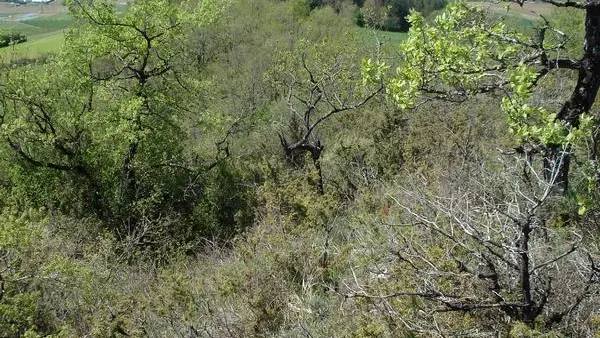 La vue domine la vallée du Lot et permet l'observation des rapaces