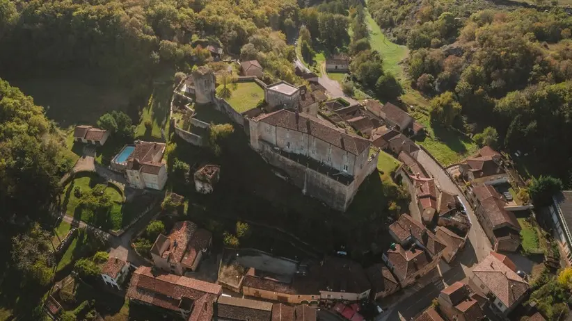 Château de Blanquefort (1)