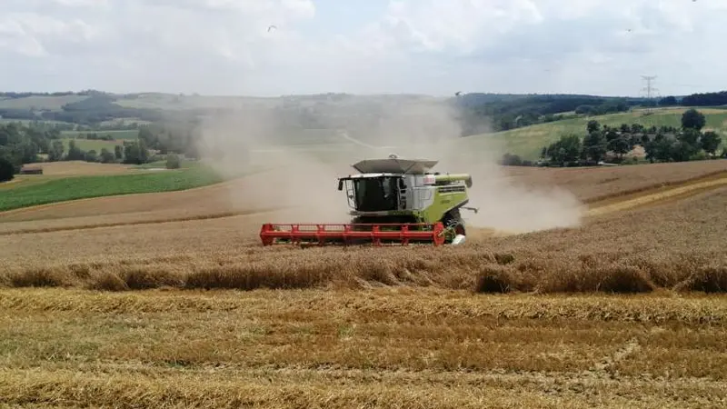 DEG_le rdv des fins gourmets_Verteuil_moissons