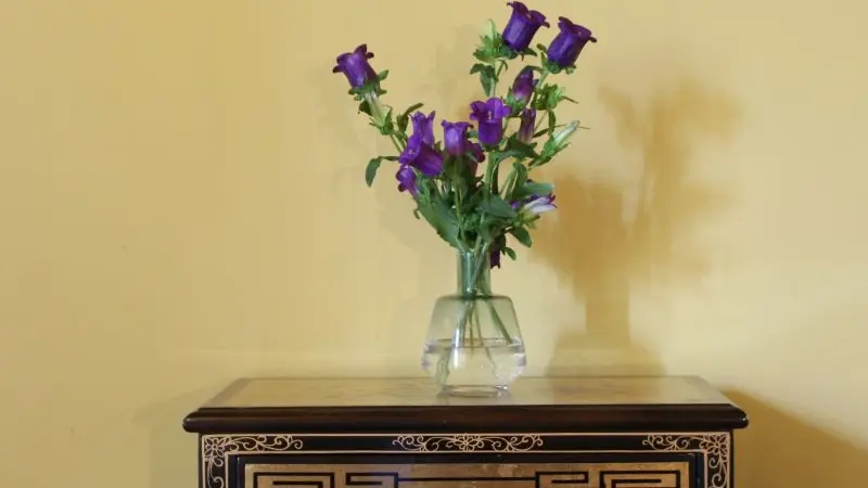 HLO_MaDamenFrance_Monclar_chambre Marguerite_détail