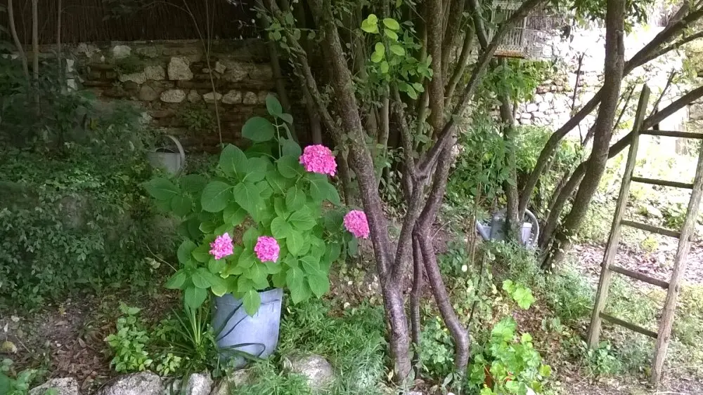 HLOAQU047FS003C4-grande4-2