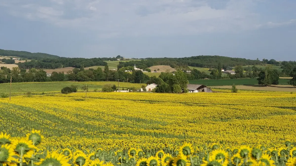 HLOAQU047FS0005K_TIOZZO_grande03