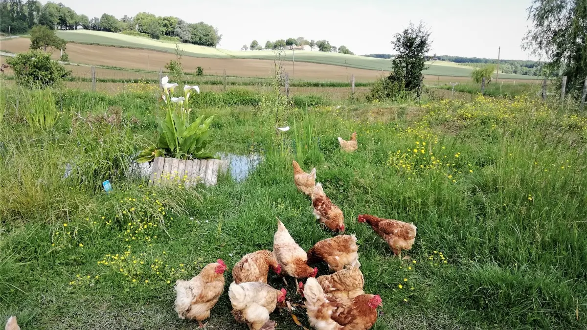 HLOAQU047FS0005K_TIOZZO_grande08