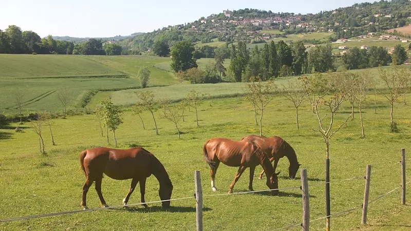 HLOAQU047FS0006E_grande15