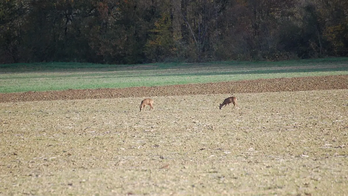 HLOAQU047FS000AL_TIOZZO_grande13