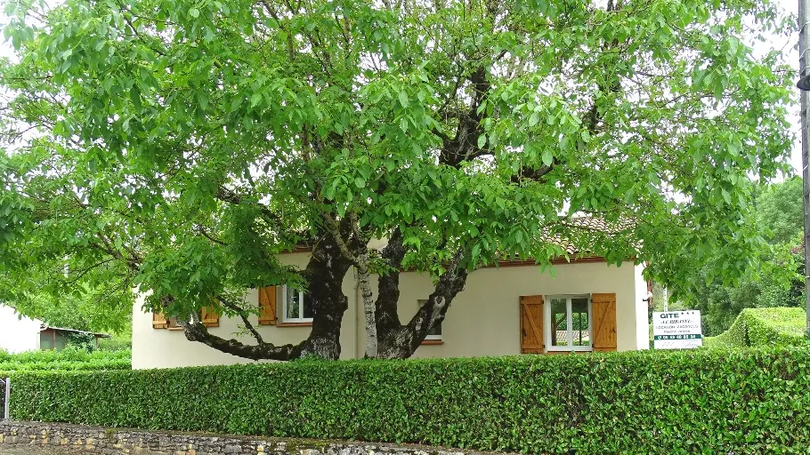 HLOAQU047FS000H3_grande16