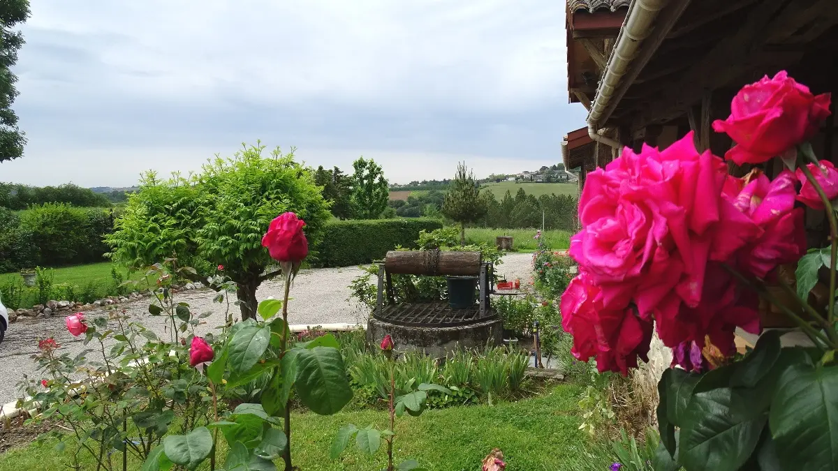 HLOAQU047FS001RS-6-2