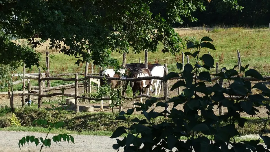 HLOAQU047V5055WP_LABRETONIE_CHC152_14