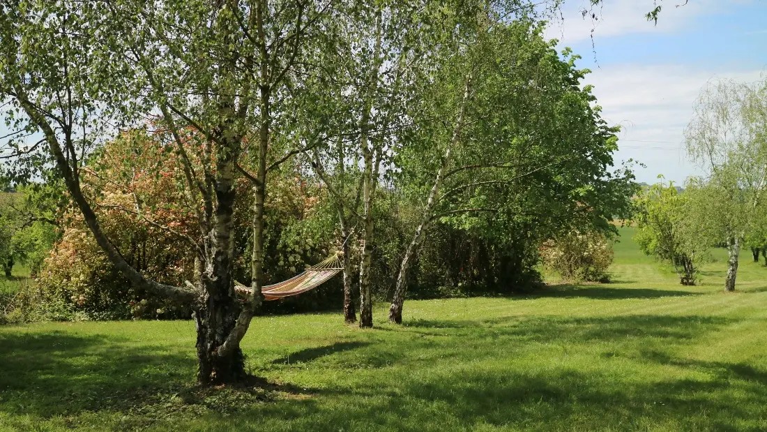 HLOAQU047V505J81--grande15