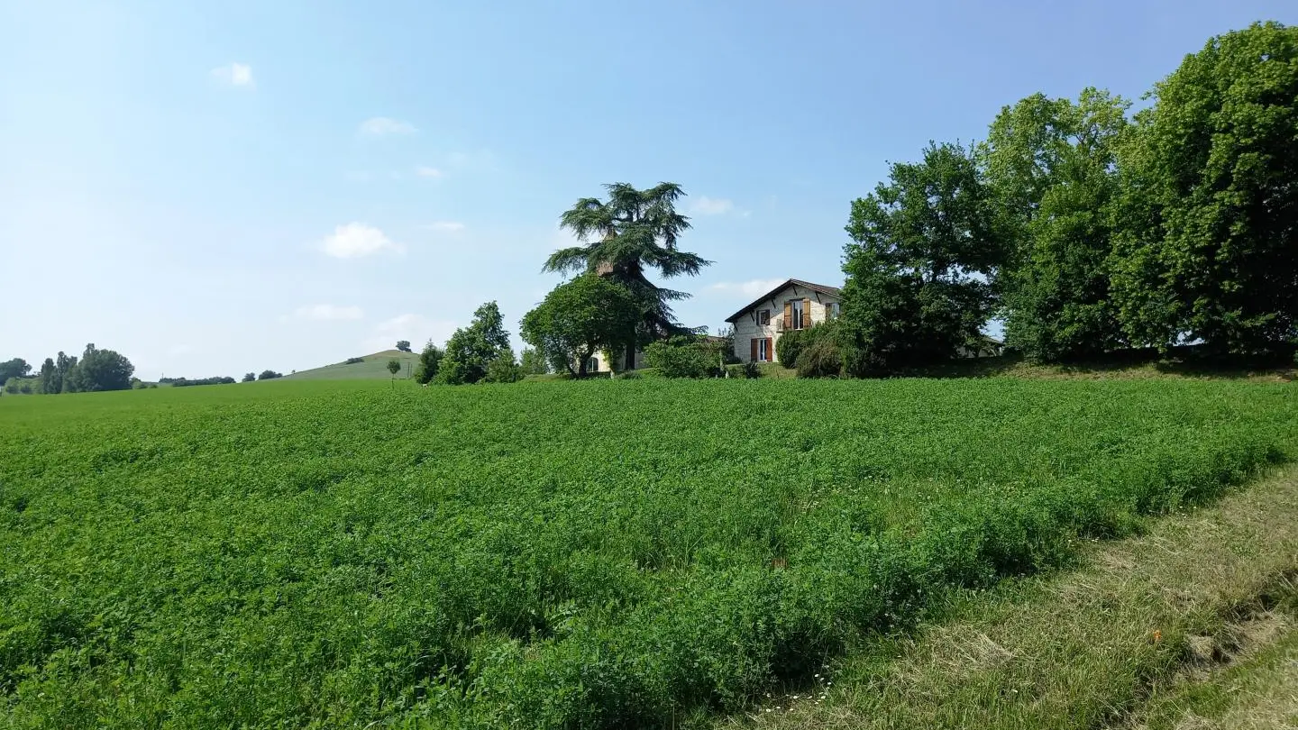 HLOAQU047V50IL2L_photo2