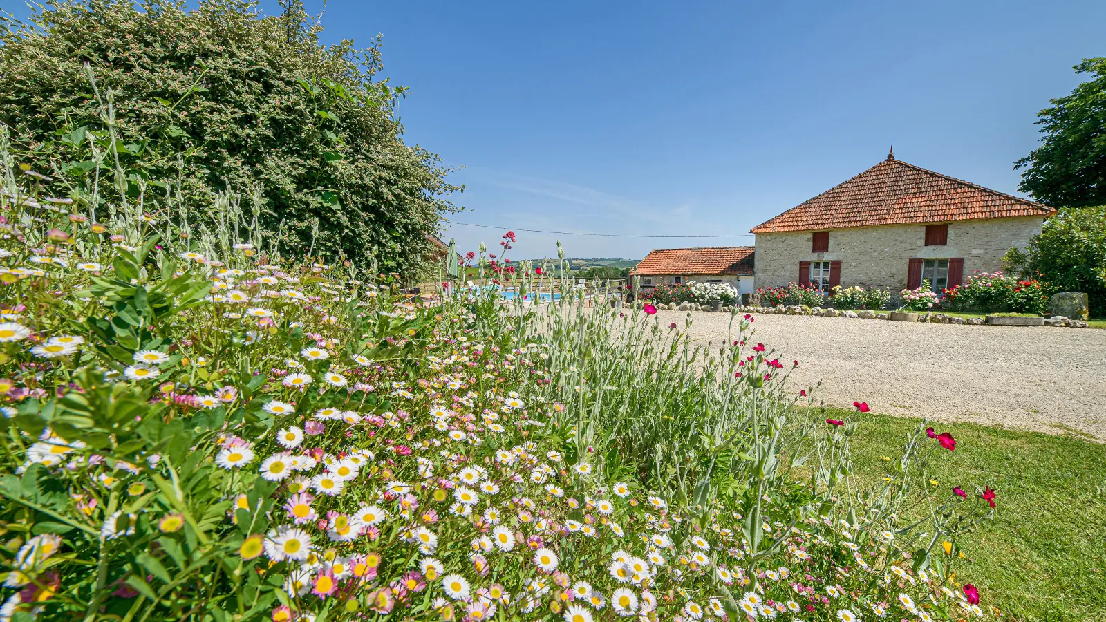 HLOAQU047V50IYEC_ledomainedestellac_castelmoron-sur-lot_5