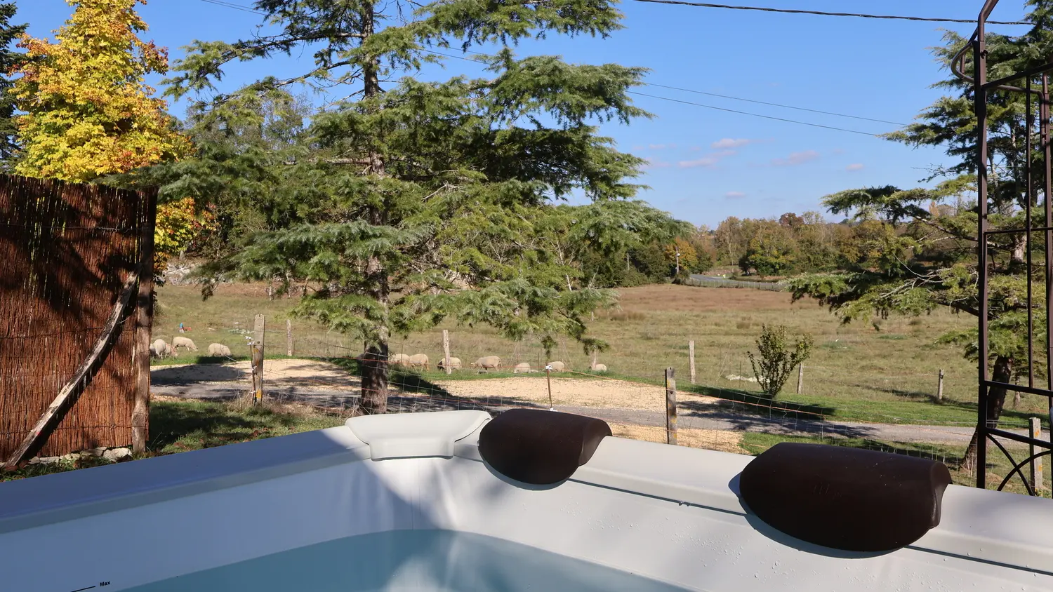 HLOAQU047V50NGNO_PRIEST_vue animaux du SPA_08