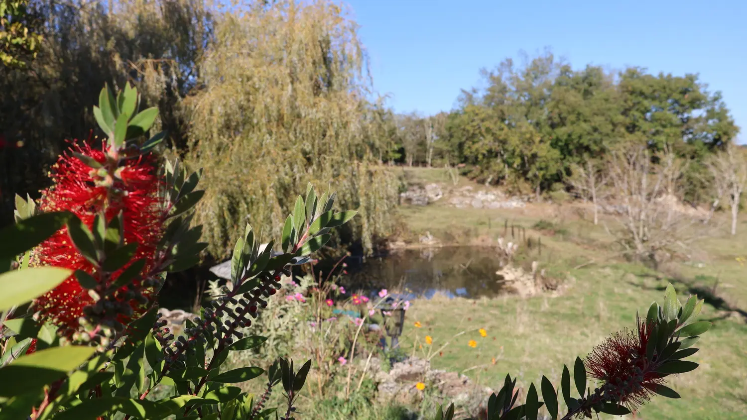 HLOAQU047V50NGNO_PRIEST_jolies fleurs étang_12