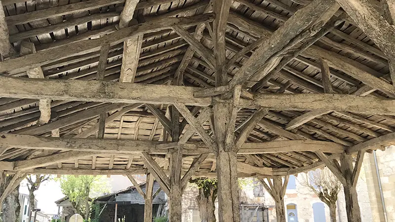 OTLT_ASC_Terra Aventura_Laparade_Halle ©Martine Gionco