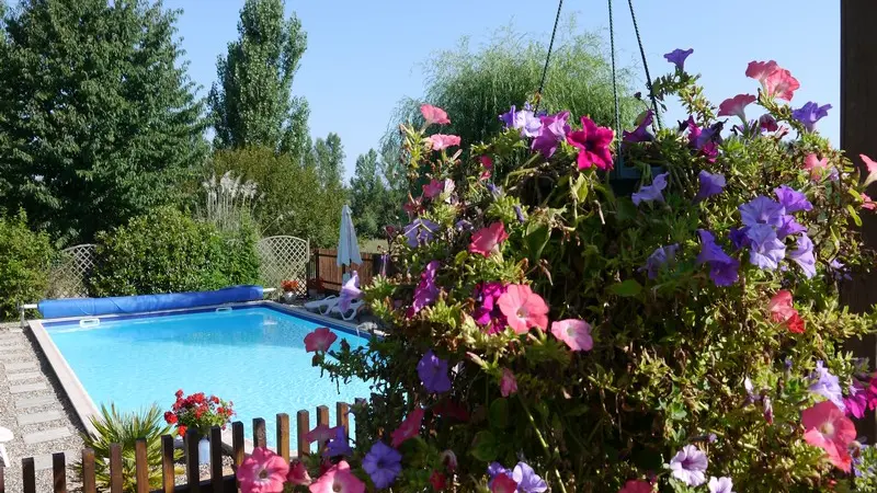 OTLT_HLO_Gites de Sévenne-Canard_Labretonie_piscine