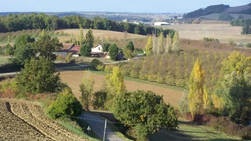 OTLT_HLO_INS_Folies de Sophie_Coulx_vue