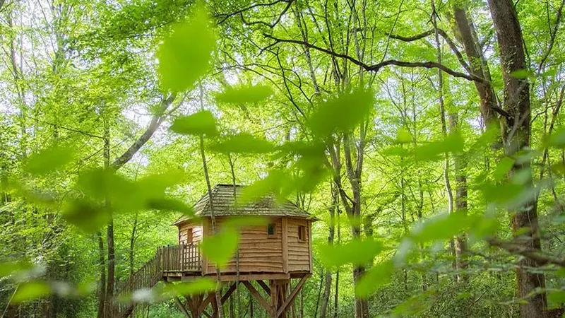 OTLT_HLO_INS_Folies de Sophie_Coulx