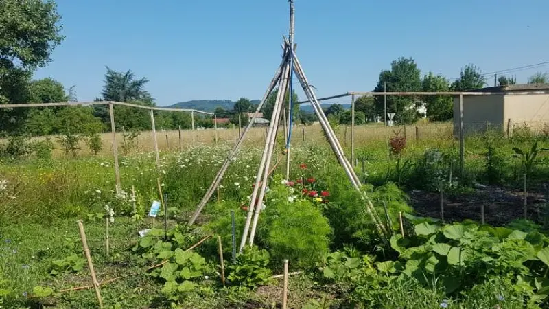 PCU_le jardin de Papy Paulo_Le Temple sur Lot_au coeur de l'étoile
