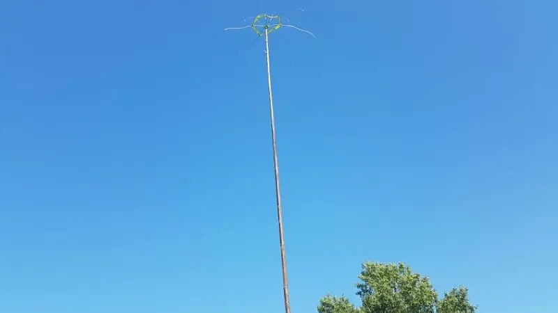 PCU_le jardin de Papy Paulo_Le Temple sur Lot_électroculture