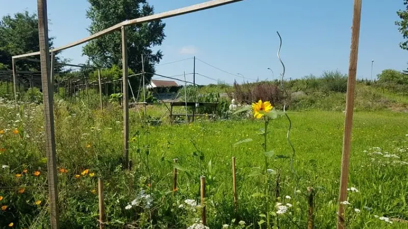 PCU_le jardin de Papy Paulo_Le Temple sur Lot_étoile au nb sacré