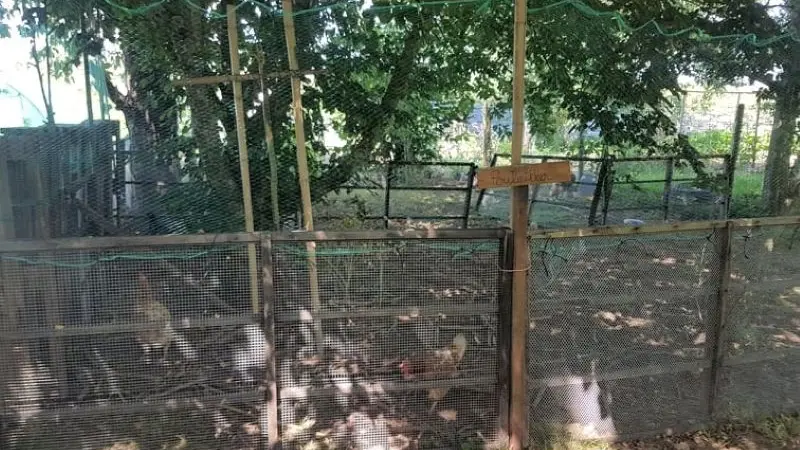 PCU_le jardin de Papy Paulo_Le Temple sur Lot_poulailler