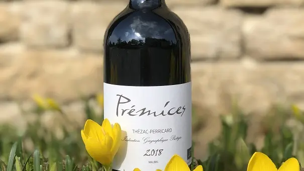 Thézac_Domaine de Lancement_2020_5