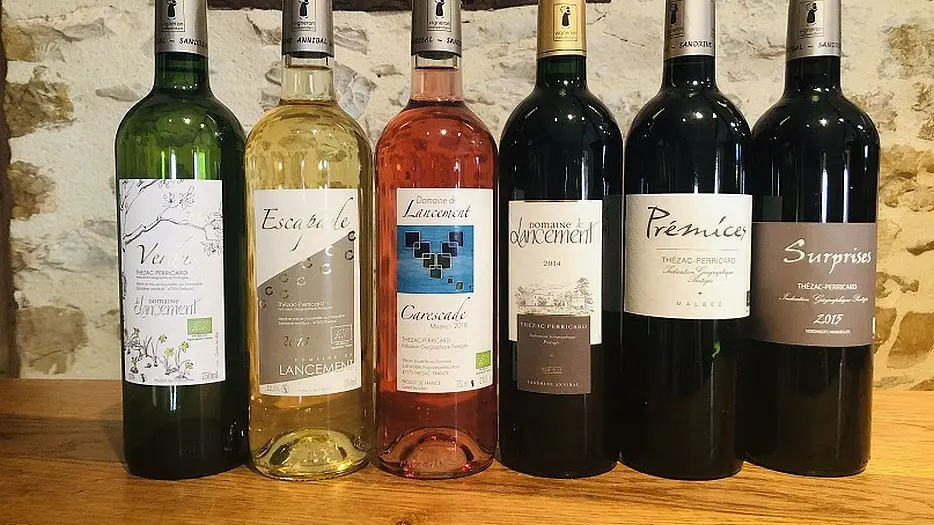 Thezac-Domaine-de-Lancement-2020-1