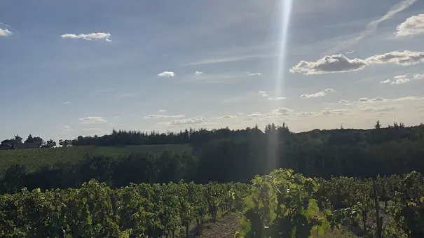 Thézac_Domaine de Lancement_2020_3