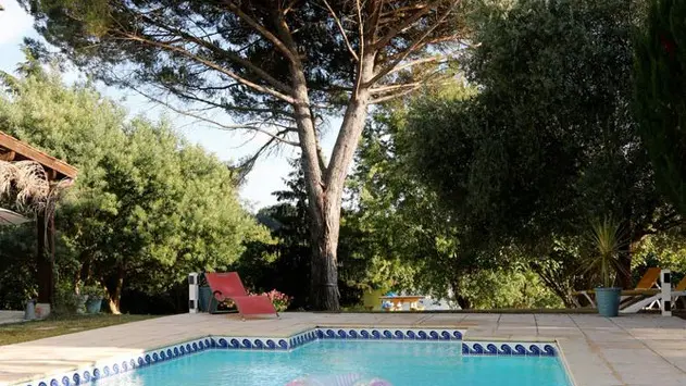 Vue-piscine-et-le-grand-pin bis