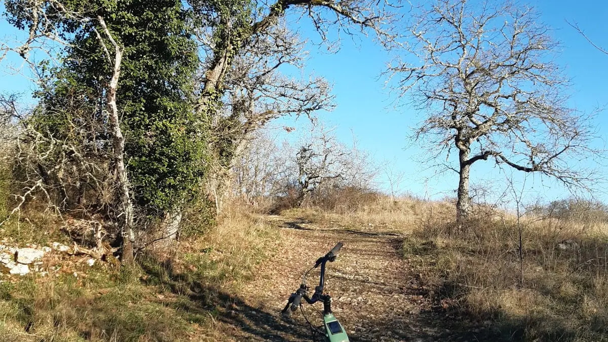 WhatsApp Image 2024-01-25 at 22.17.31 (1)