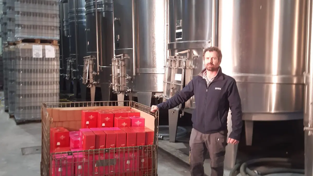 WhatsApp Image 2024-01-25 at 22.17.31