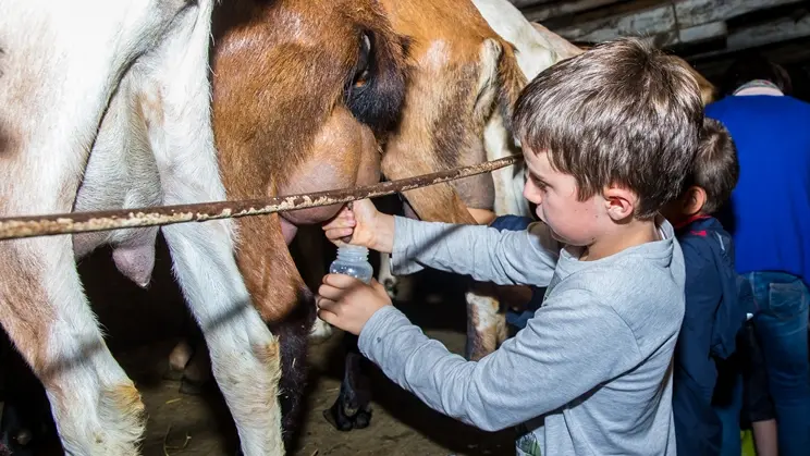 cclt_asc_chaudronmagique_traite