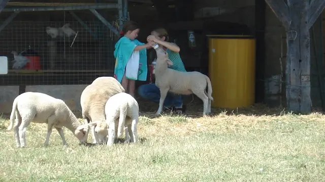 cclt_hpa_charmant_miniferme